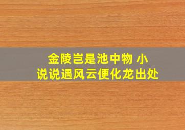 金陵岂是池中物 小说说遇风云便化龙出处